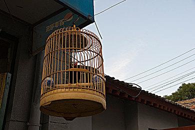 传奇真人影像ADV《428：被封锁的涩谷》导演新作开启众筹